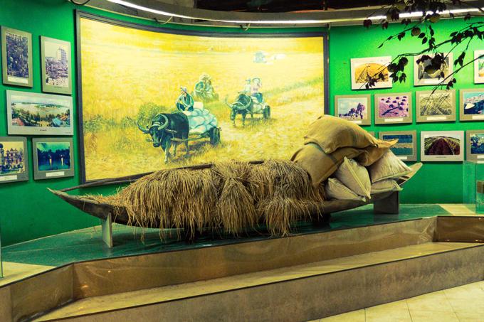 Can Tho City travel guide: Can Tho Museum Life Size Display