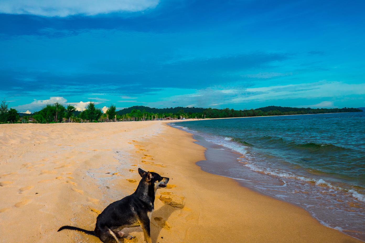 Phu Quoc Island Beaches - Vung Bau Beach where we were joined by 2 local dogs 