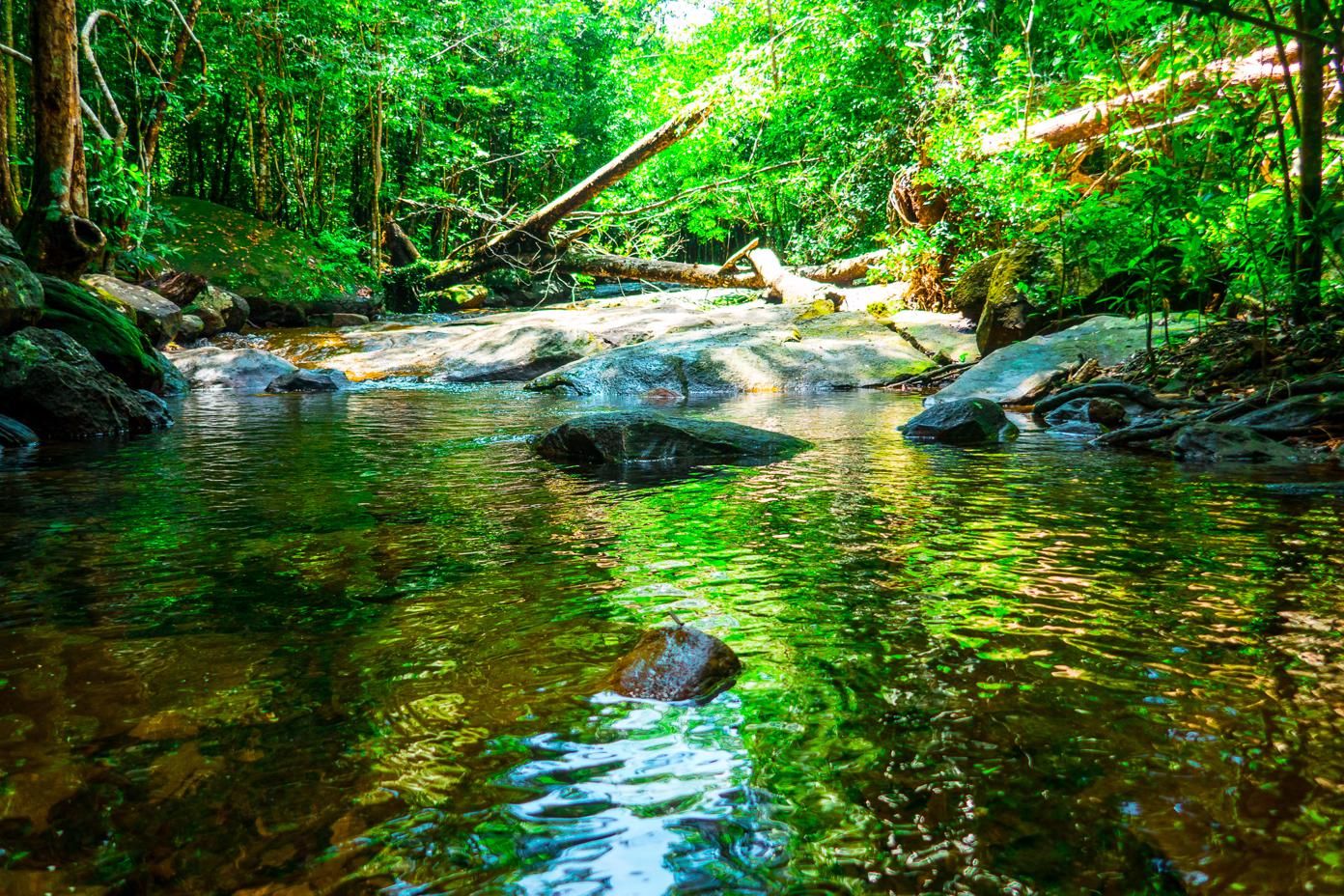 Phu Quoc Travel Guide - Suoi Tranh Waterfall 