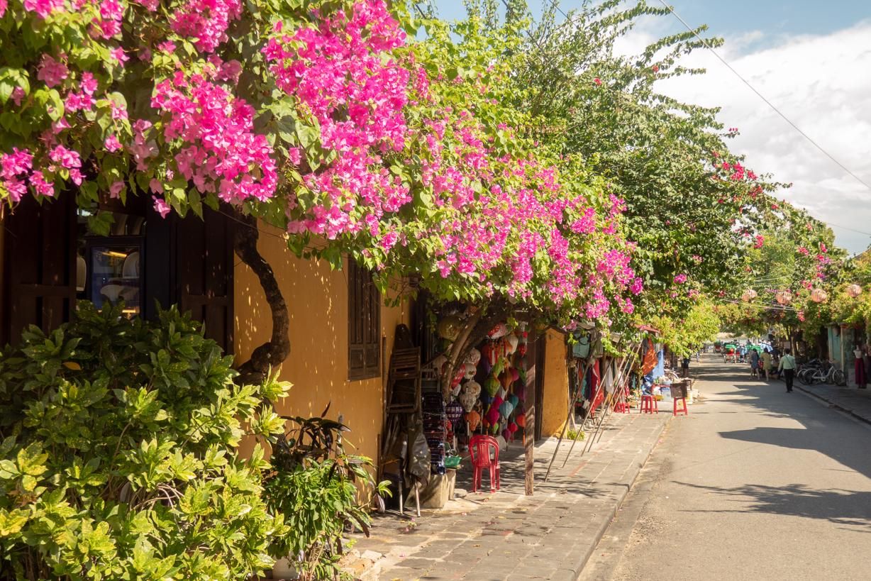 Hoi An Highlights - Hoi An Ancient Town streets