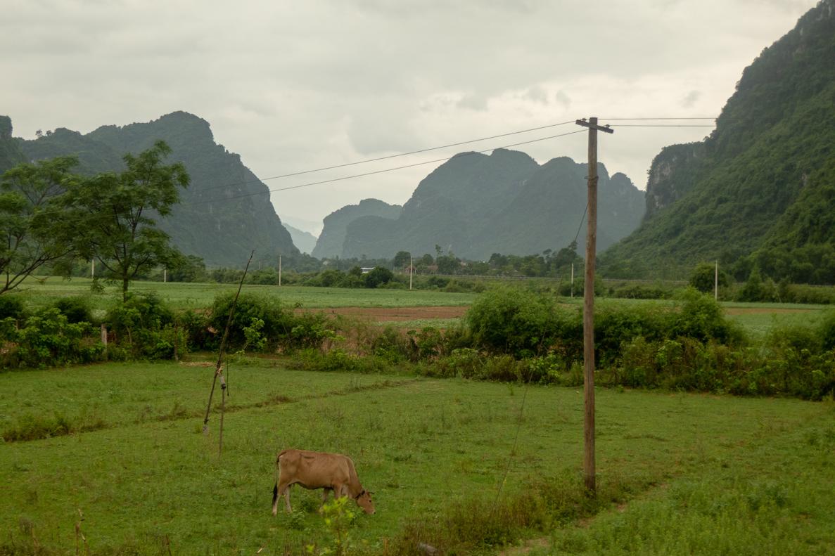 Phong Nha Ke Bang National Park - things to do without a tour