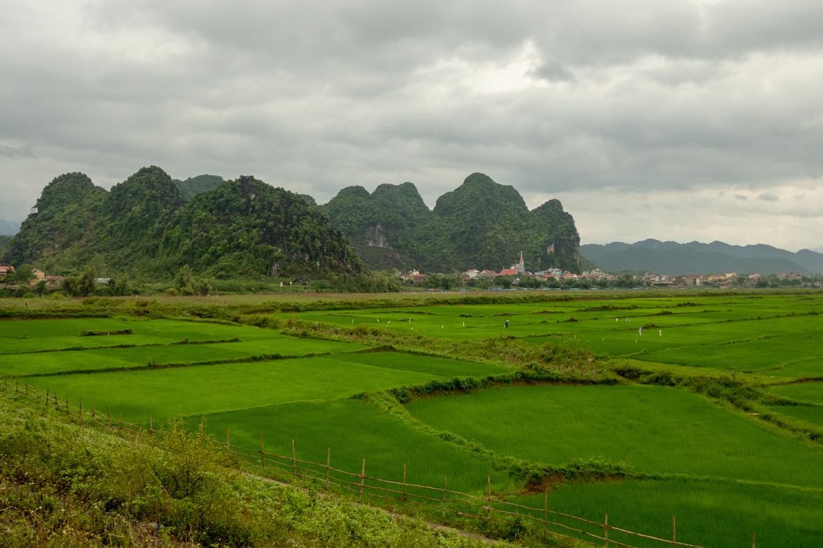 Phong Nha Ke Bang National park - things to do without a tour