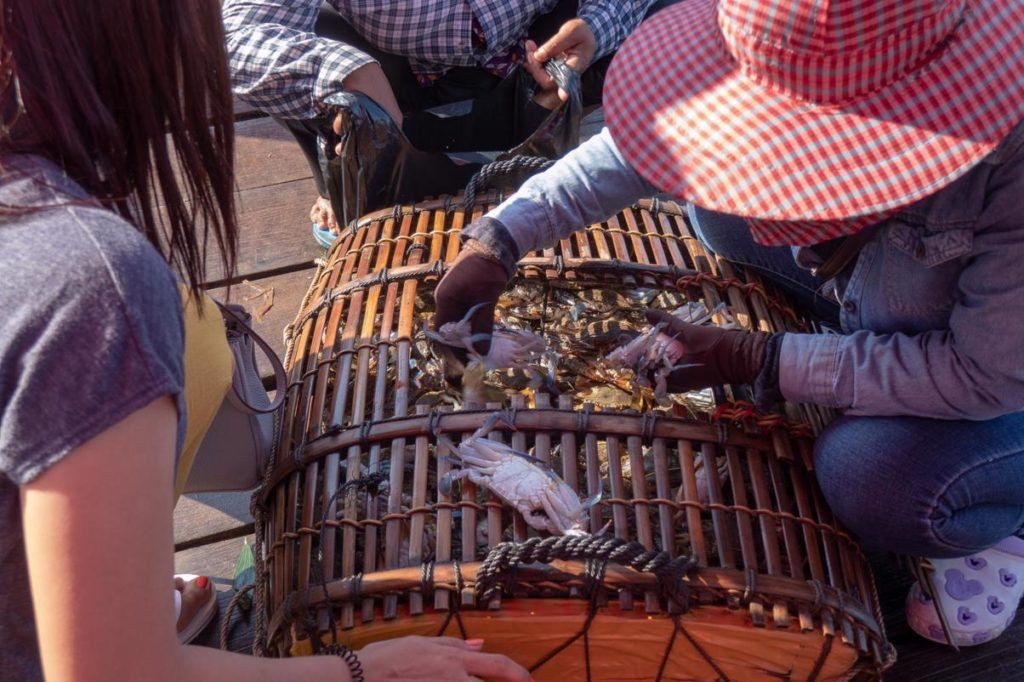 Kep National Park Cambodia Things to do i Kep Fresh Crab