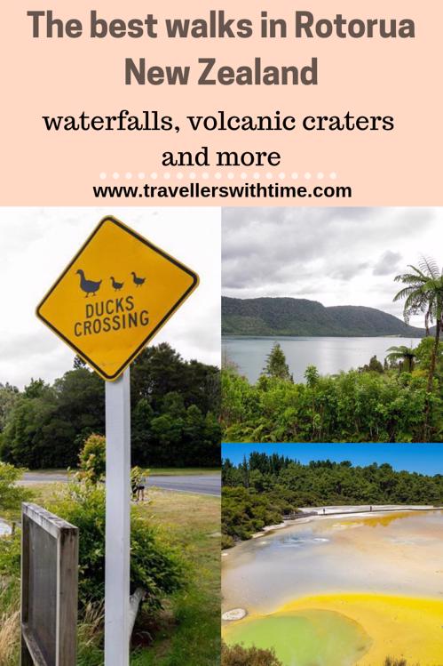 A guide to the best Rotorua Walks, whether you're looking for something long or short, difficult or easy, relaxing or rewarding, you'll find a walk for you in Rotorua #rotorua #newzealnd #hikenewzealnd