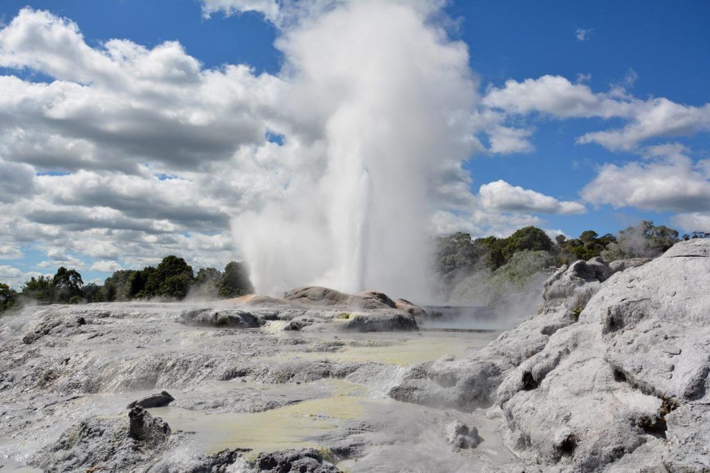 Pohutu Geyser at Te Puia geothermal park Rotorua