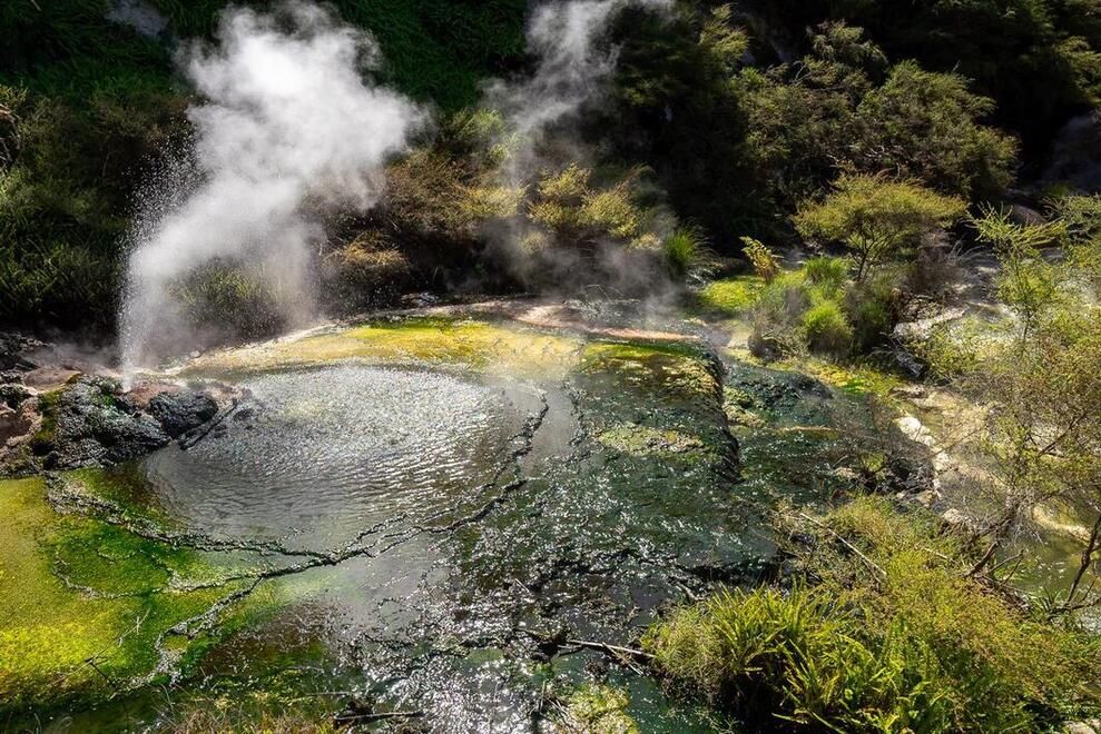 Best geothermal park in Rotorua