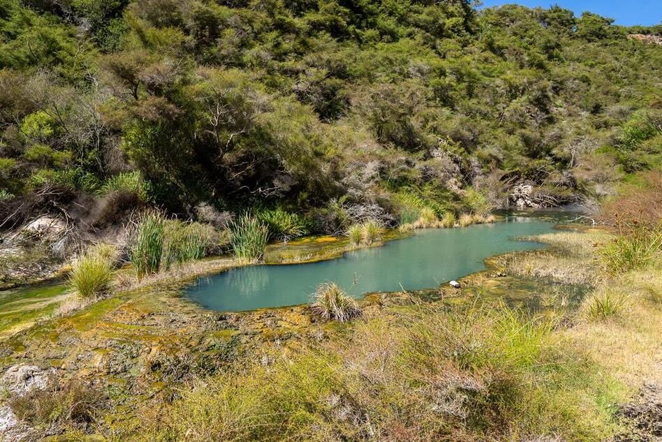 Waimangu Volcanic Valley - things to do in Rotorua New Zealand