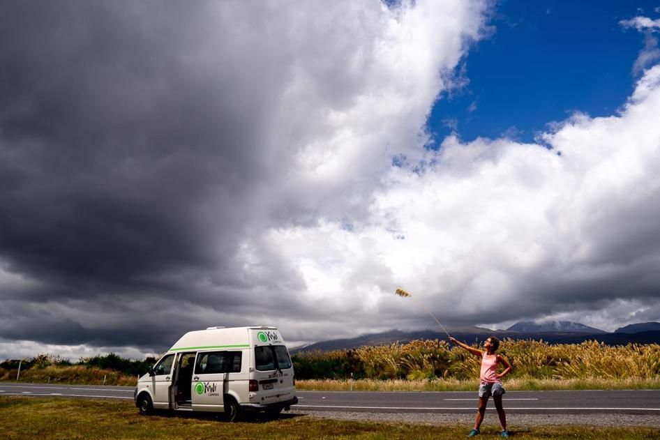 On the road in Tongariro National Park 