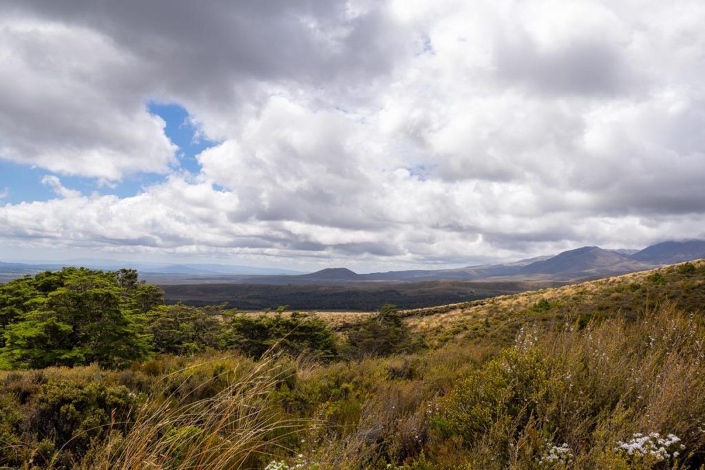 View on the Ridge walk outside Whakapapa Village