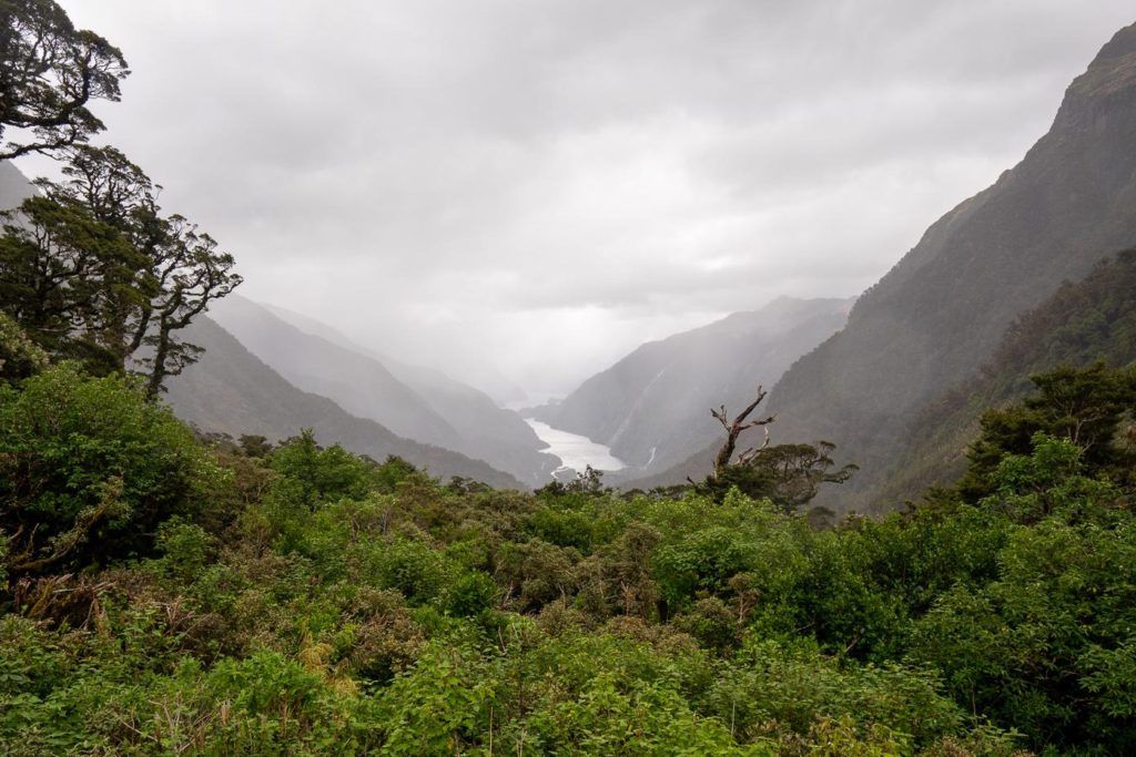 The view from Wilmot pass of Doubtful Sound