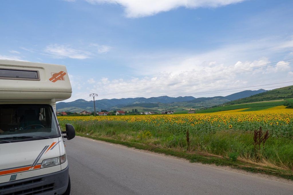 sunflower fields in Romania - Europe in a campervan